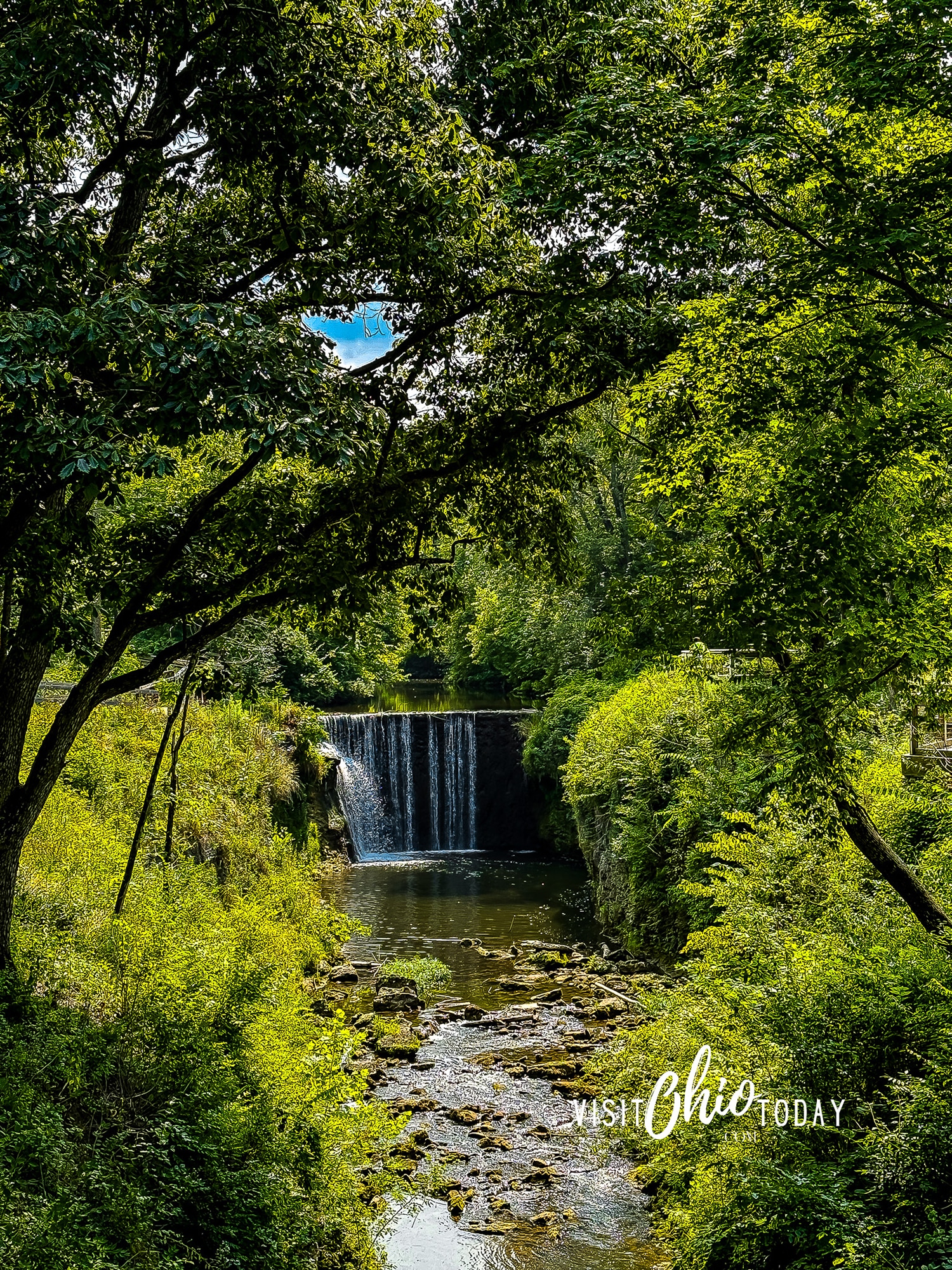 vertical photo of Cedar Cliff Falls with a tree's foliage in the foreground. Photo credit: Cindy Gordon of VisitOhioToday.com