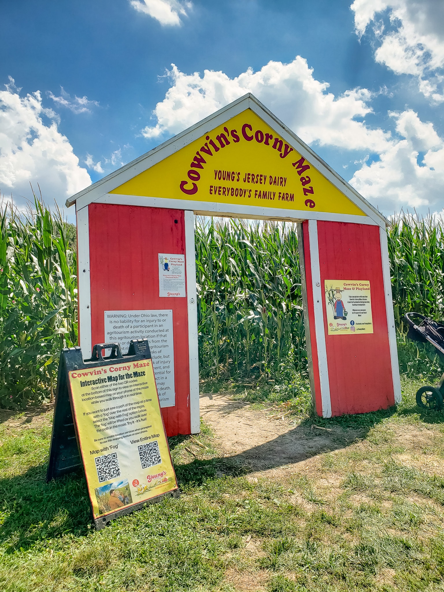 vertical photo of the entrance to Cowvin's Corny Maze at Young's Jersey Dairy. Photo credit: Cindy Gordon of VisitOhioToday.com