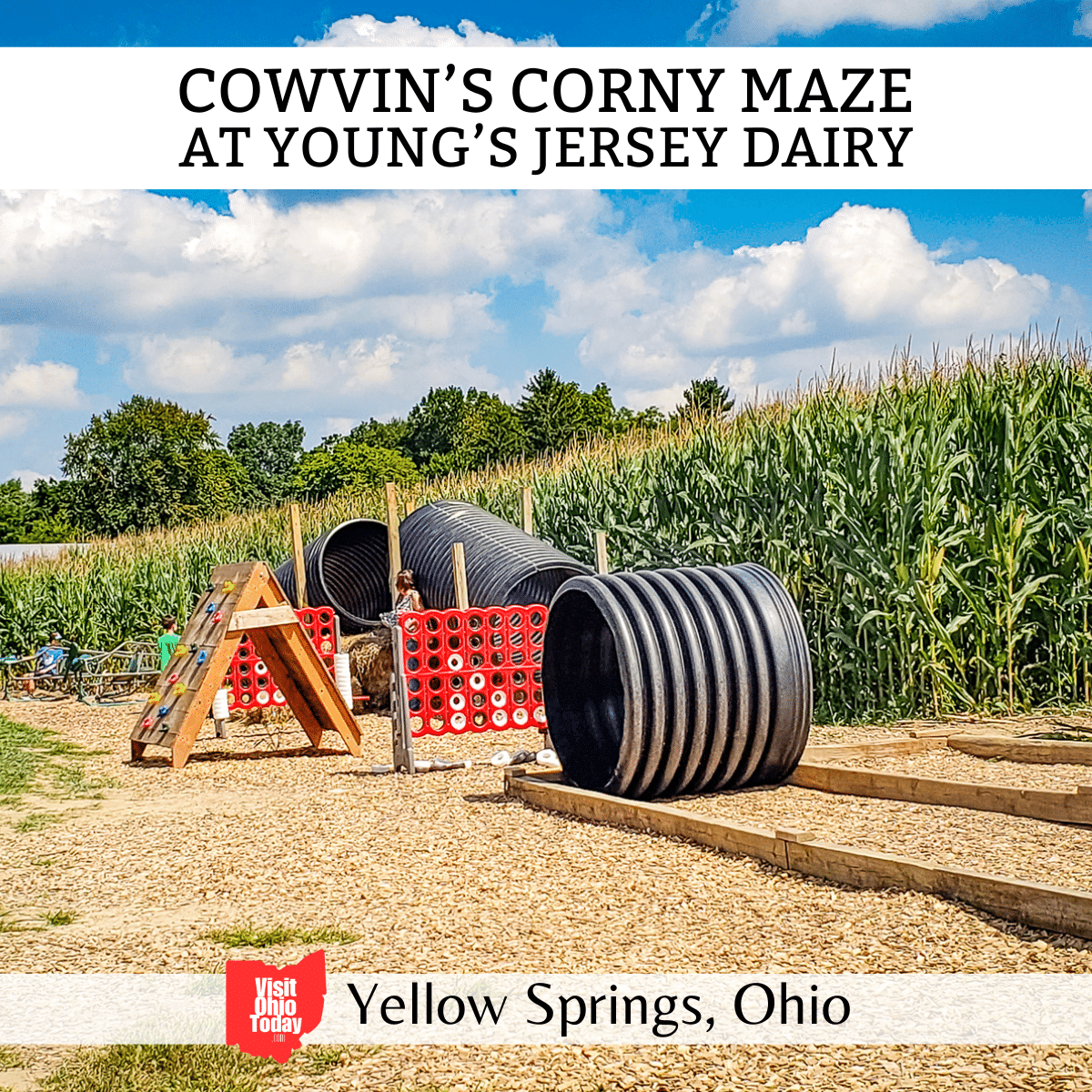 square image with a photo of the play area at the end of the maze. A white strip across the top contains the text Cowvin's Corny Maze at Young's Jersey Dairy. A white strip across the bottom has the text Yellow Springs, Ohio