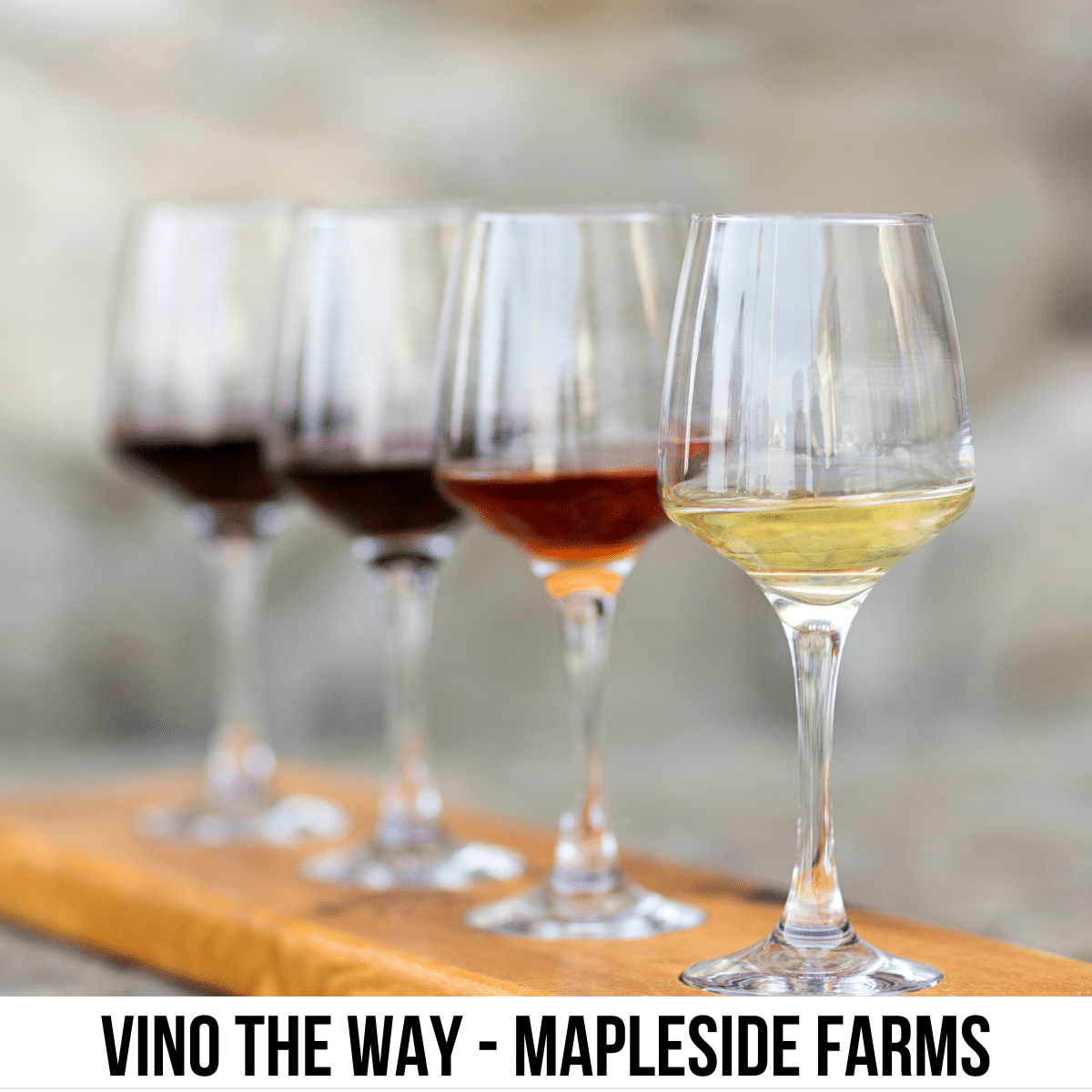 square photo of a tasting flight of wines. A white strip across the bottom has the text Vino the Way - Mapleside Farms