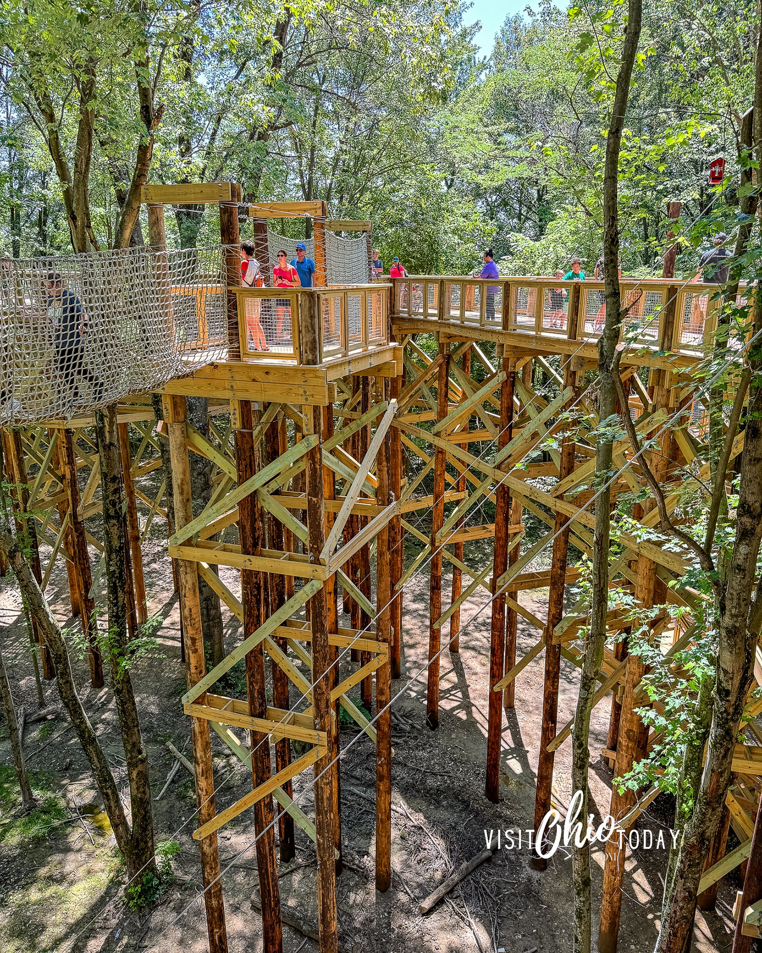 vertical photo of a section of the Blacklick Woods Canopy Walk surrounded by trees. Photo credit: Cindy Gordon of VisitOhioToday.com