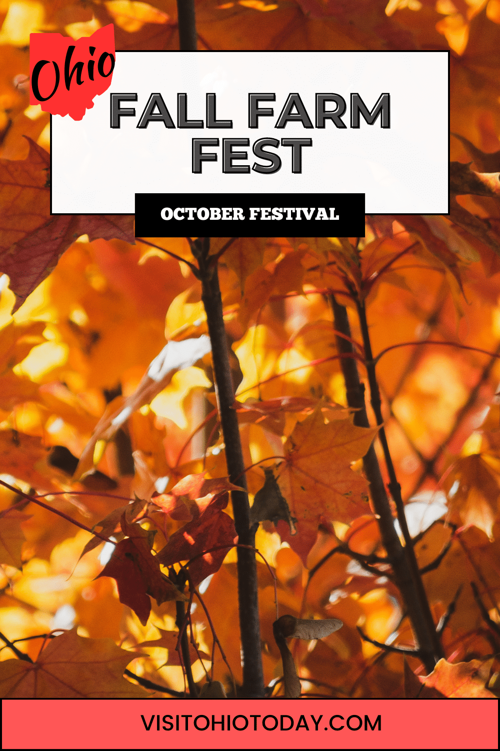 Fall Farm Fest is an autumn festival held at Lost Creek Reserve in Troy in mid-October.