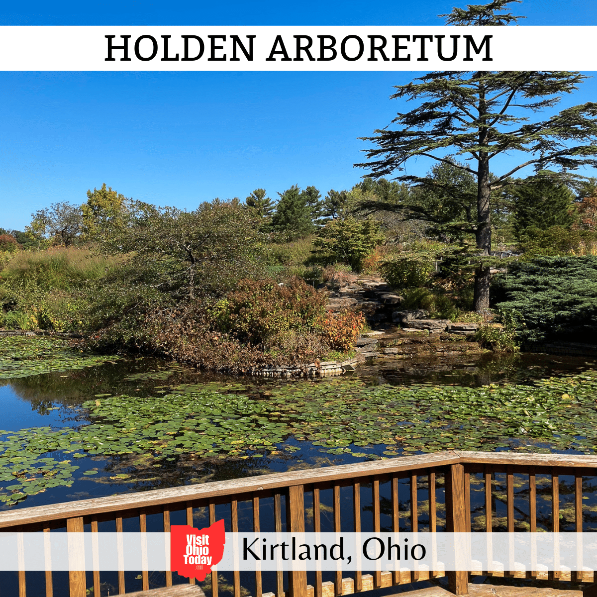 square image with a photo of water lily leaves on one of the ponds. With rocks and trees in the background. A white strip across the top has the text Holden Arboretum, and a white strip across the bottom has the text Kirtland, Ohio