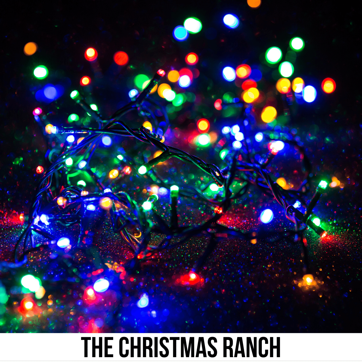 square image with a photo of some lit outside holiday lights. A white strip across the bottom has the text The Christmas Ranch