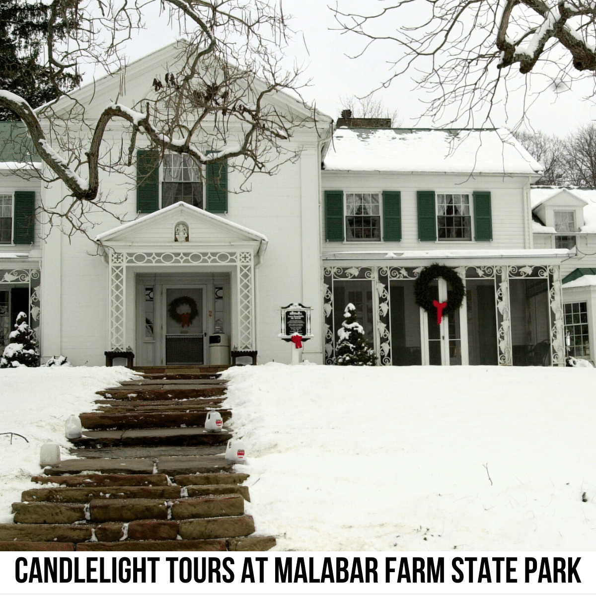 A square image of a photo of a white house with green shutters, adorned with holiday wreaths. Steps lead up to the house, and the grass on either side of the steps is covered in snow. A white strip across the bottom has text December festival Candlelight Tours at Malabar Farm State Park. 