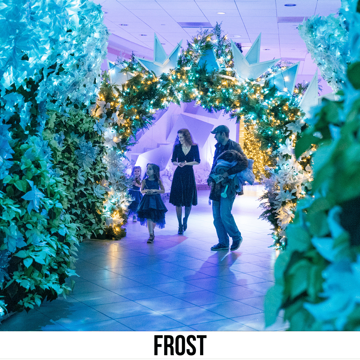 A square image of a photo of a man, a woman, and two young children walking through frosted decorated walkway, with white poinsettas and blue and white lighting. A white strip across the bottom has text Frost. 