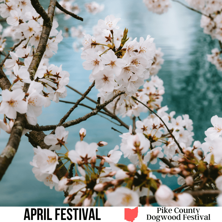 square image with a photo of the branches of a dogwood tree in full bloom. A white strip across the bottom has the text April Festival, Pike County Dogwood Festival