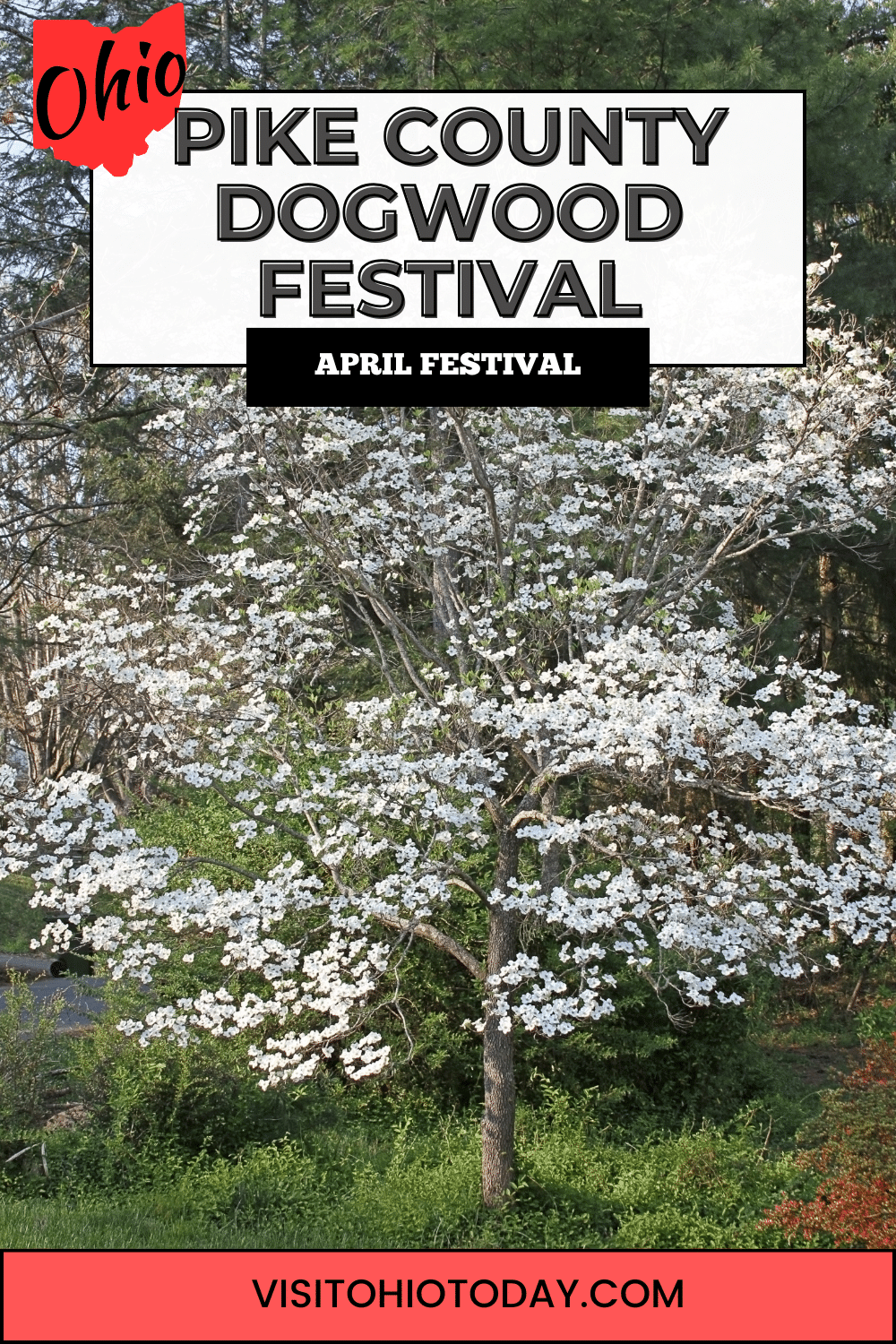 The Pike County Dogwood Festival celebrates the Dogwood tree and takes place during the last full weekend in April each year when the trees are in full bloom.