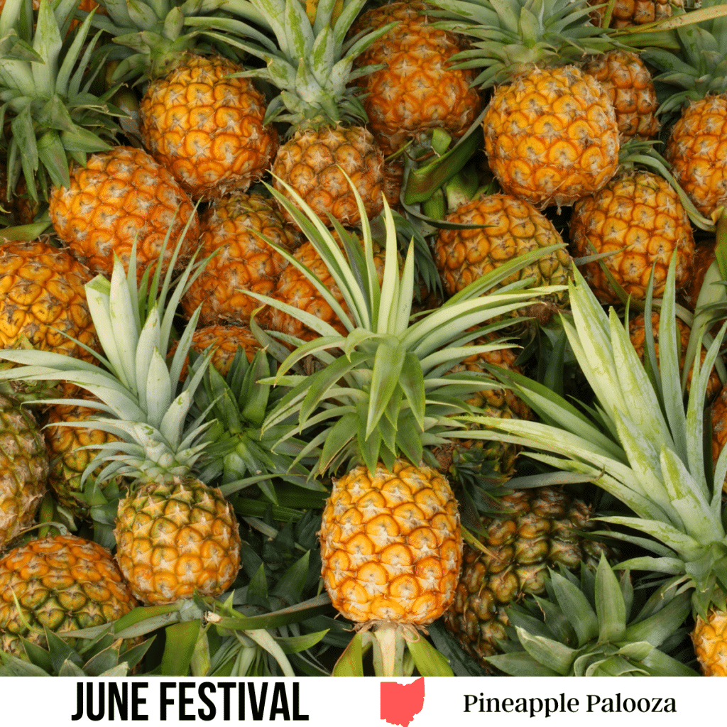 square image with a photo of a lot of pineapples. A white strip across the bottom has the text June Festival. Pineapple Palooza