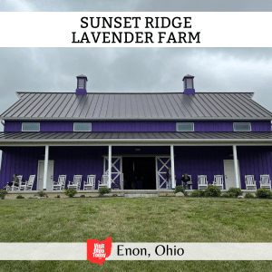 square image with a photo of the porch with rocking chairs at the purple barn. A white strip across the top has the text Sunset Ridge Lavender Farm, and a white strip across the bottom has the text Enon, Ohio