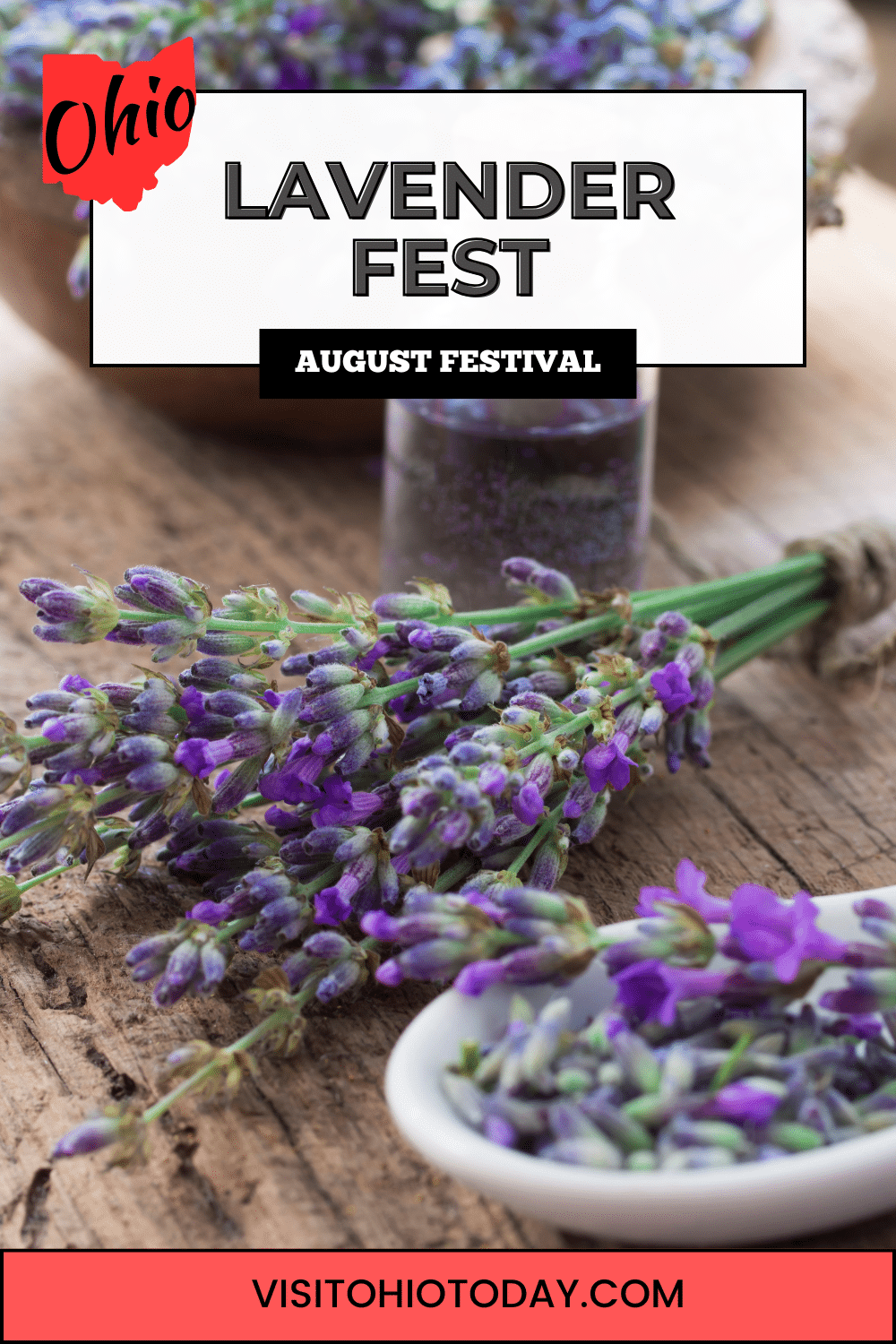 The Lavender Fest at Bellavenue Manor is in McConnelsville in Morgan County. Enjoy a family day out and celebrate all things lavender!