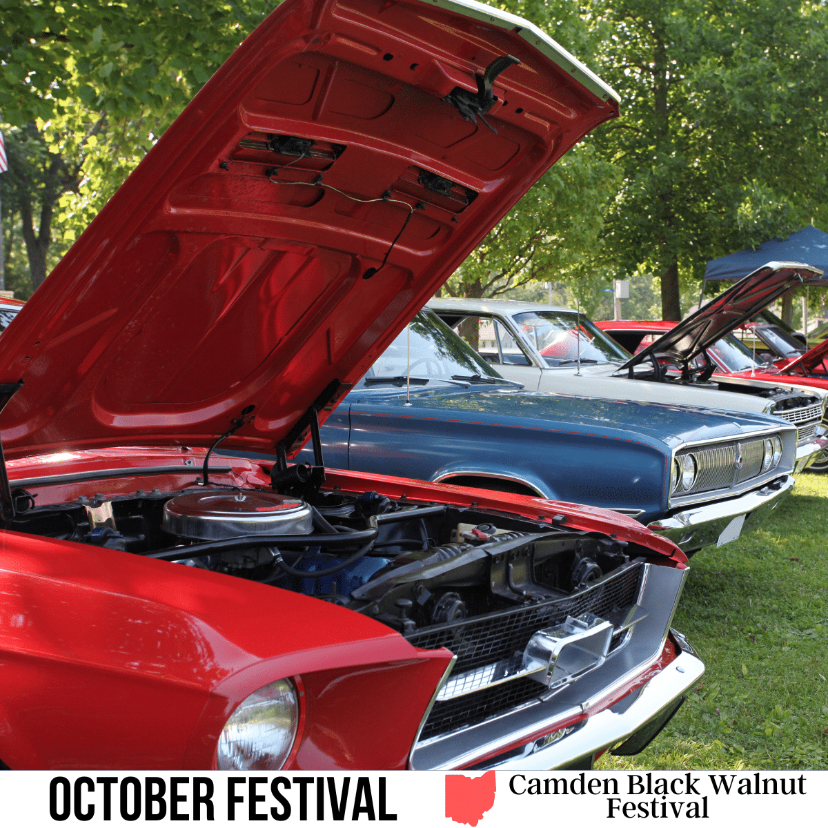 VOT-Camden Black Walnut Festival-feature image square image with a photo of cars in a vintage car show. A white strip across the bottom has the text October Festival, Camden Black Walnut Festival