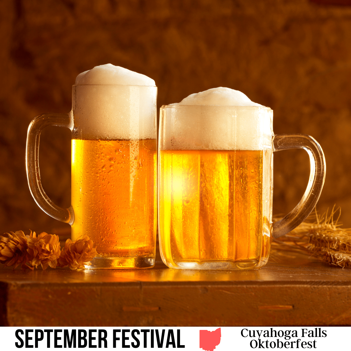 square image with two glasses of beer with some dried hops on a wooden surface. A white strip across the bottom has the text September Festival. Cuyahoga Falls Oktoberfest