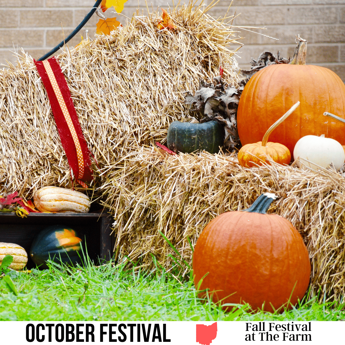square image with a photo of pumpkins arranged on hay bales. A white strip across the bottom has the text October Festival, Fall Festival at The Farm