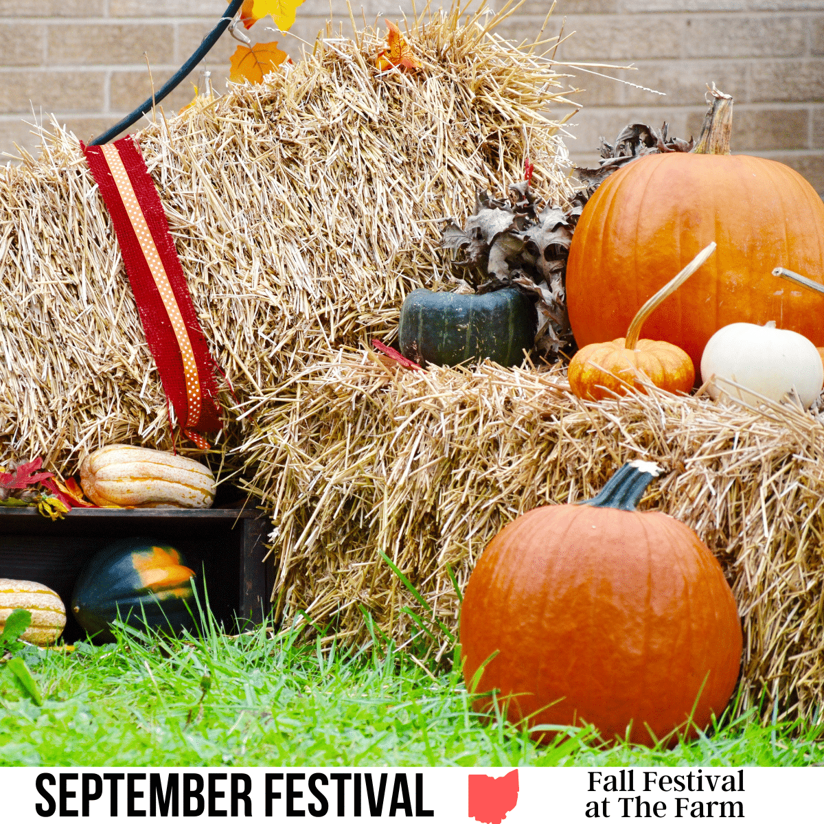 square image with a photo of pumpkins arranged on hay bales. A white strip across the bottom has the text September Festival, Fall Festival at The Farm