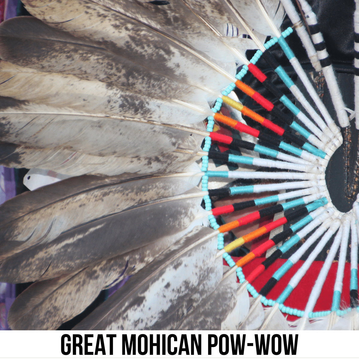 square image with a close up photo of a native American feather decoration. A white strip across the bottom has the text Great Mohican Pow-Wow