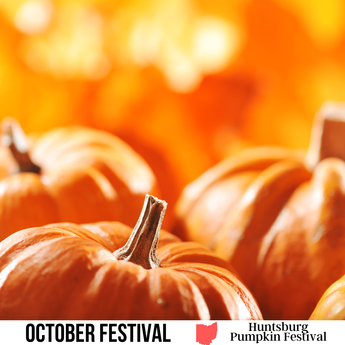 square image with a photo of the tops of orange pumpkins with an orange and yellow bokeh background. A white strip across the bottom has the text October Festival. Huntsburg Pumpkin Festival