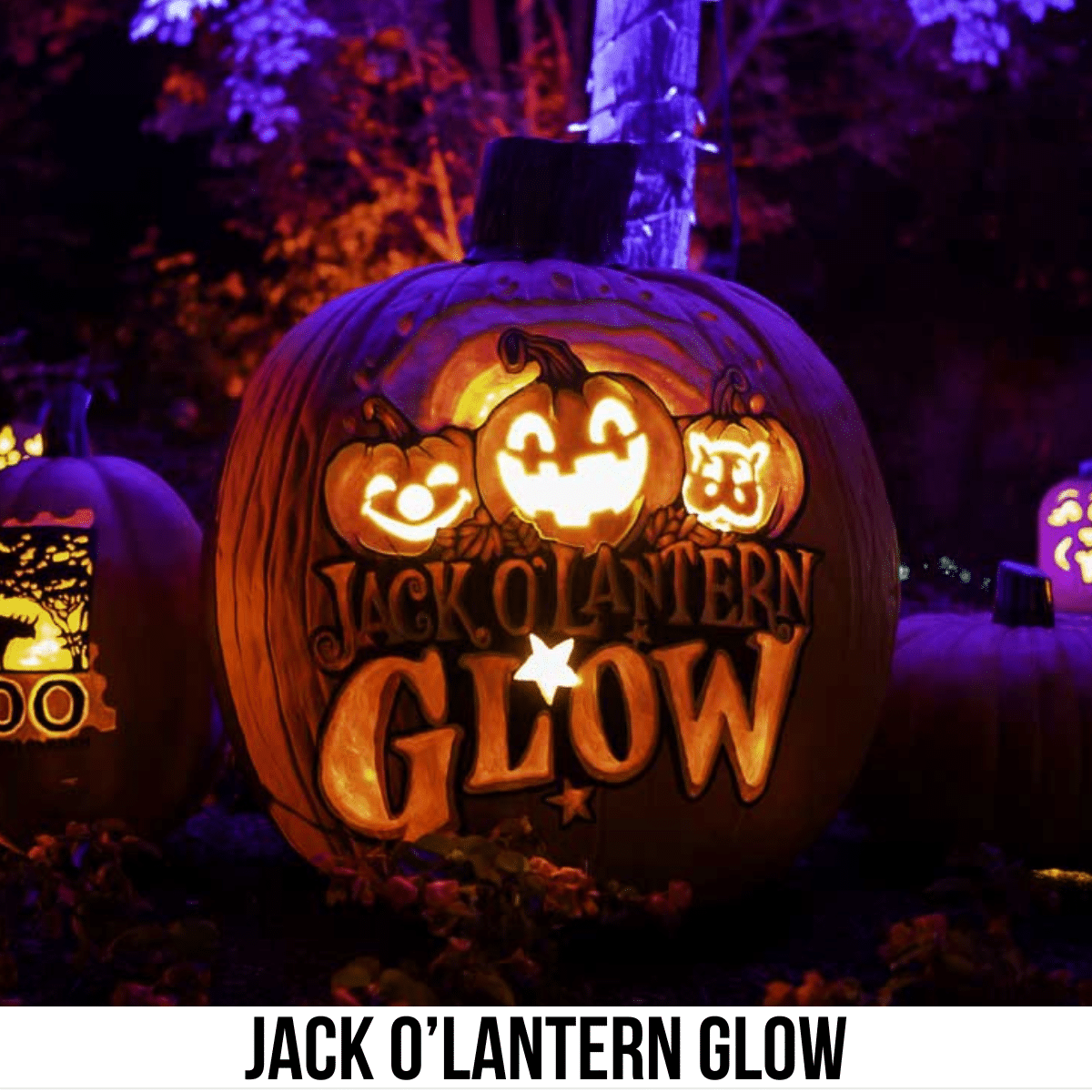 square image with a photo of a carved, lit pumpkin. A white strip across the bottom has the text Jack O'Lantern Glow