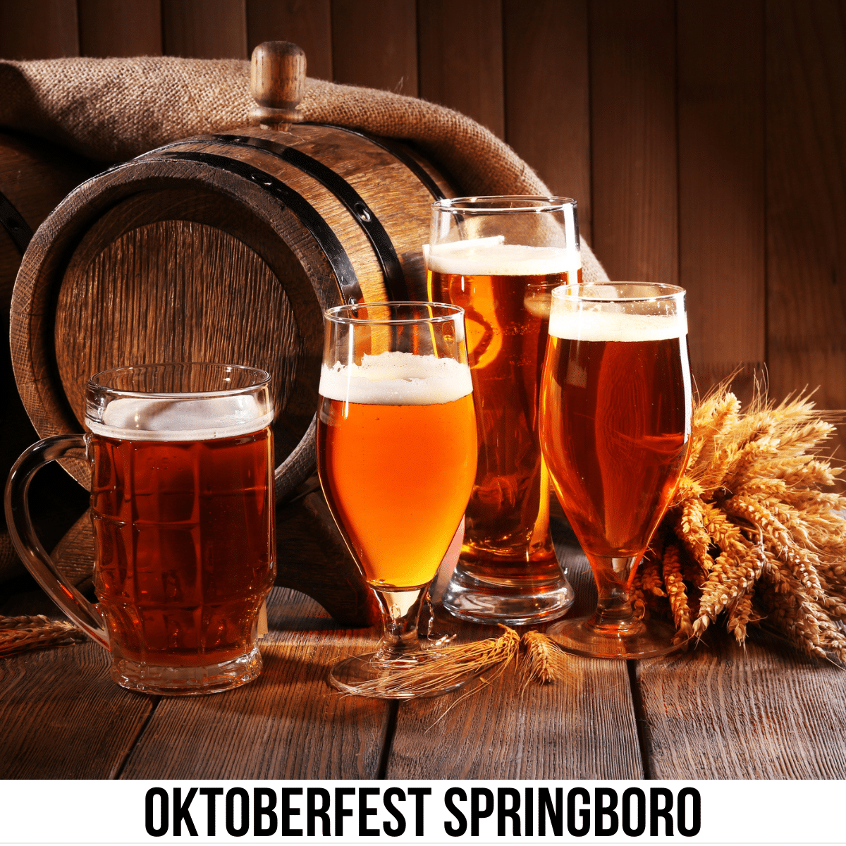 square image with a photo of four glasses of beer in front of a beer barrel and a bunch of hops. A white strip across the bottom has the text Oktoberfest Springboro