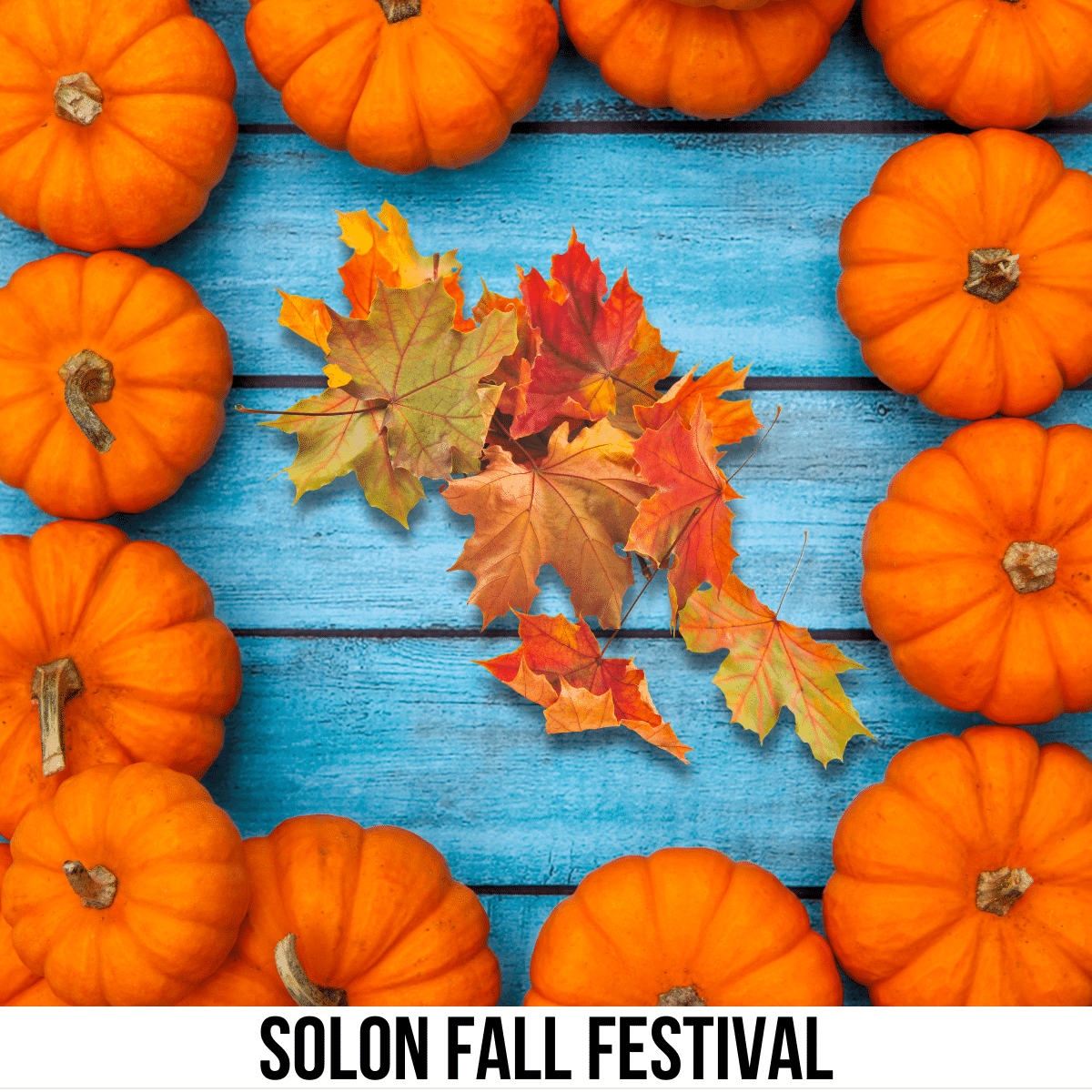 square image with a photo of a frame of orange pumpkins with a small pile of autumn leaves in the center. A white strip across the bottom has the text Solon Fall Festival