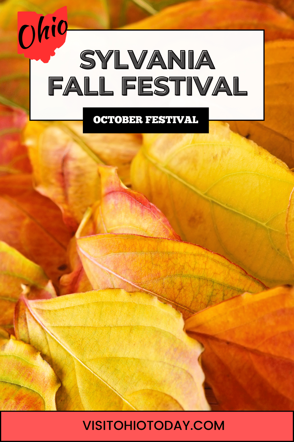 The Sylvania Fall Festival is in mid-October and is presented by Dave White Chevrolet and Northwest Ohio Chevy Dealers. Two days of family fun!