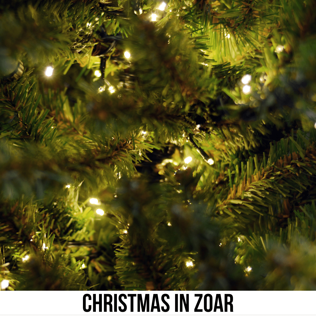square image with a close up photo of a Christmas tree with white lights. A white strip across the bottom has the text Christmas in Zoar