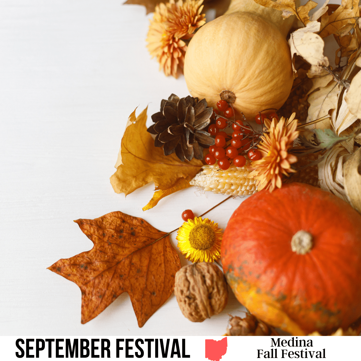 VOT-Medina Fall Festival-feature image square image with a photo of fall-related items, pumpkins, leaves, berries, etc. A white strip across the bottom has the text September Festival, Medina Fall Festival