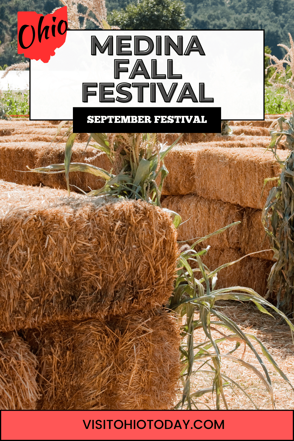 The Medina Fall Festival is a one-day event held in Medina’s Public Square in late September. All things fall-themed and much more for a fun day out!