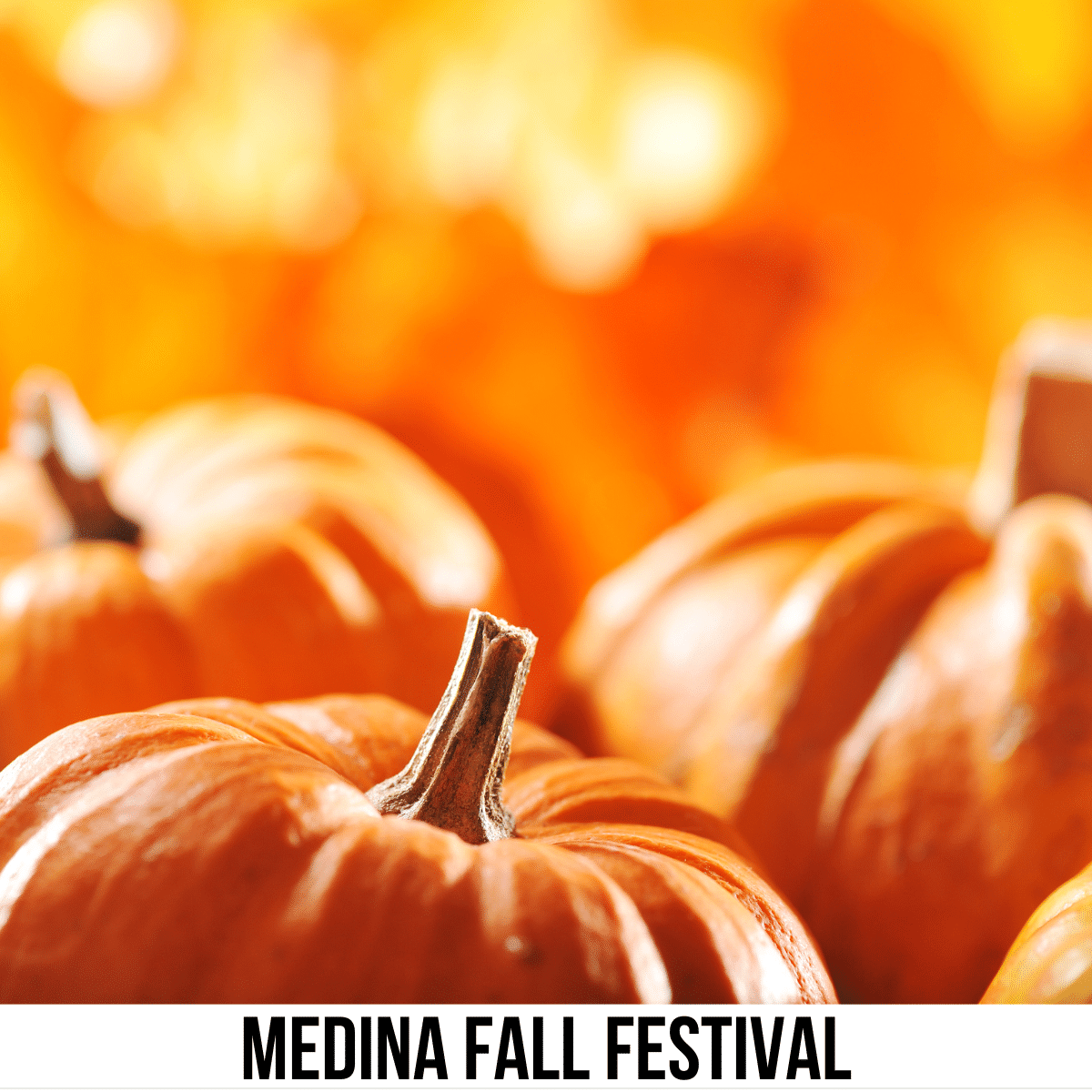square image with a close up photo of three pumpkins. A white strip across the bottom has the text Medina Fall Festival