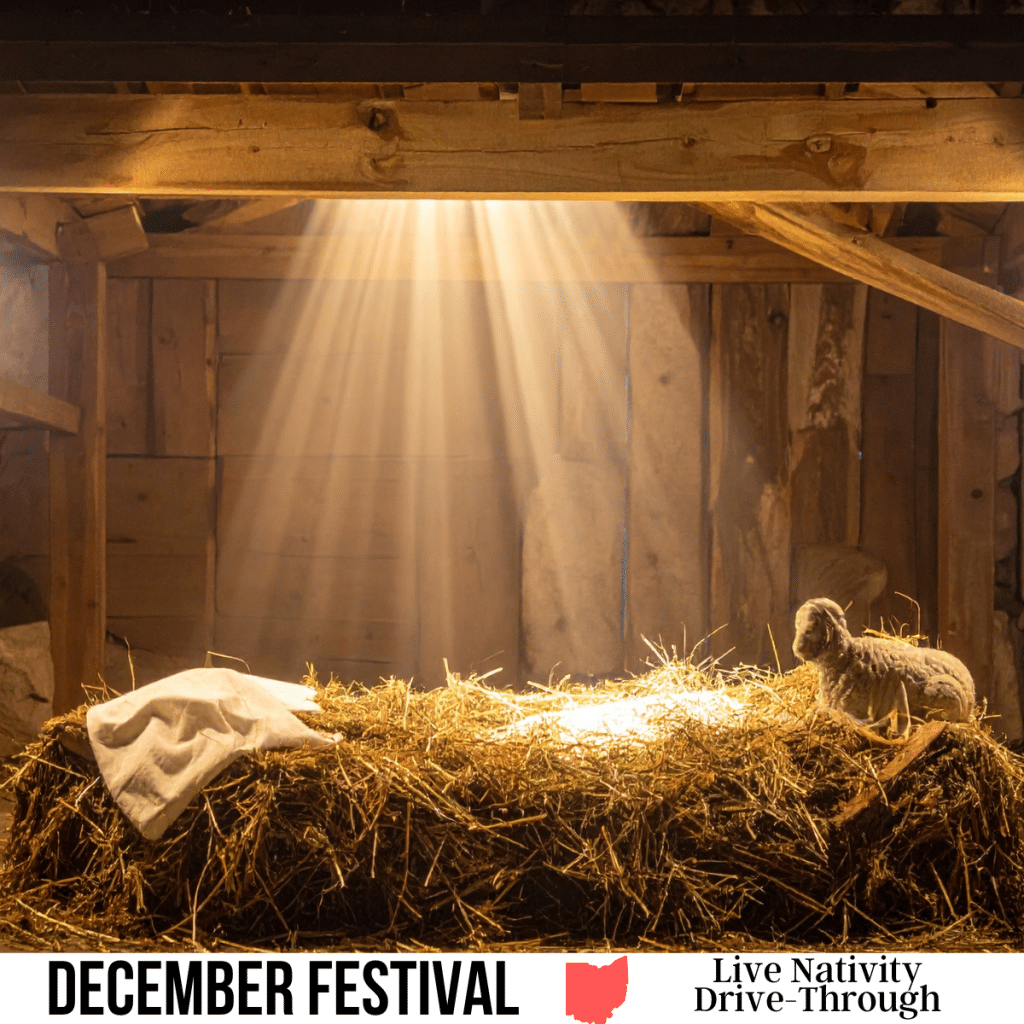 square image with a photo of a lamb sitting on the manger in the stable