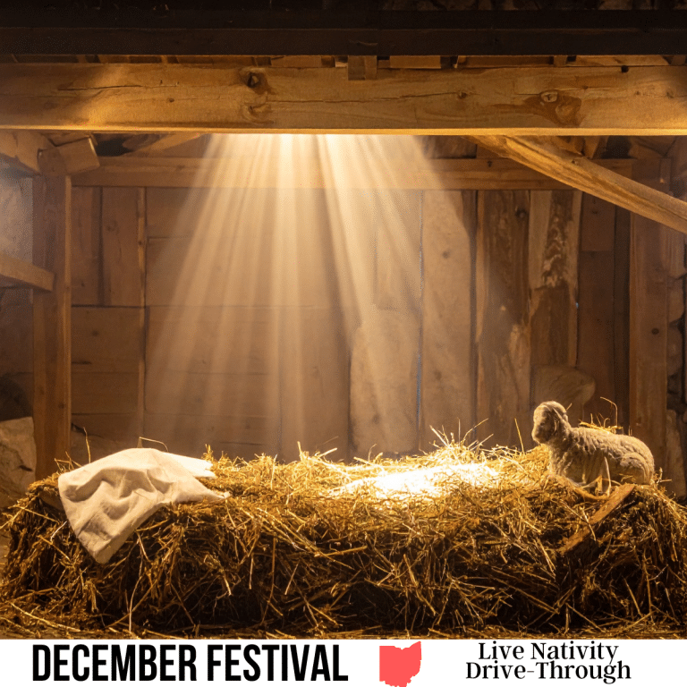 square image with a photo of a lamb sitting on the manger in the stable