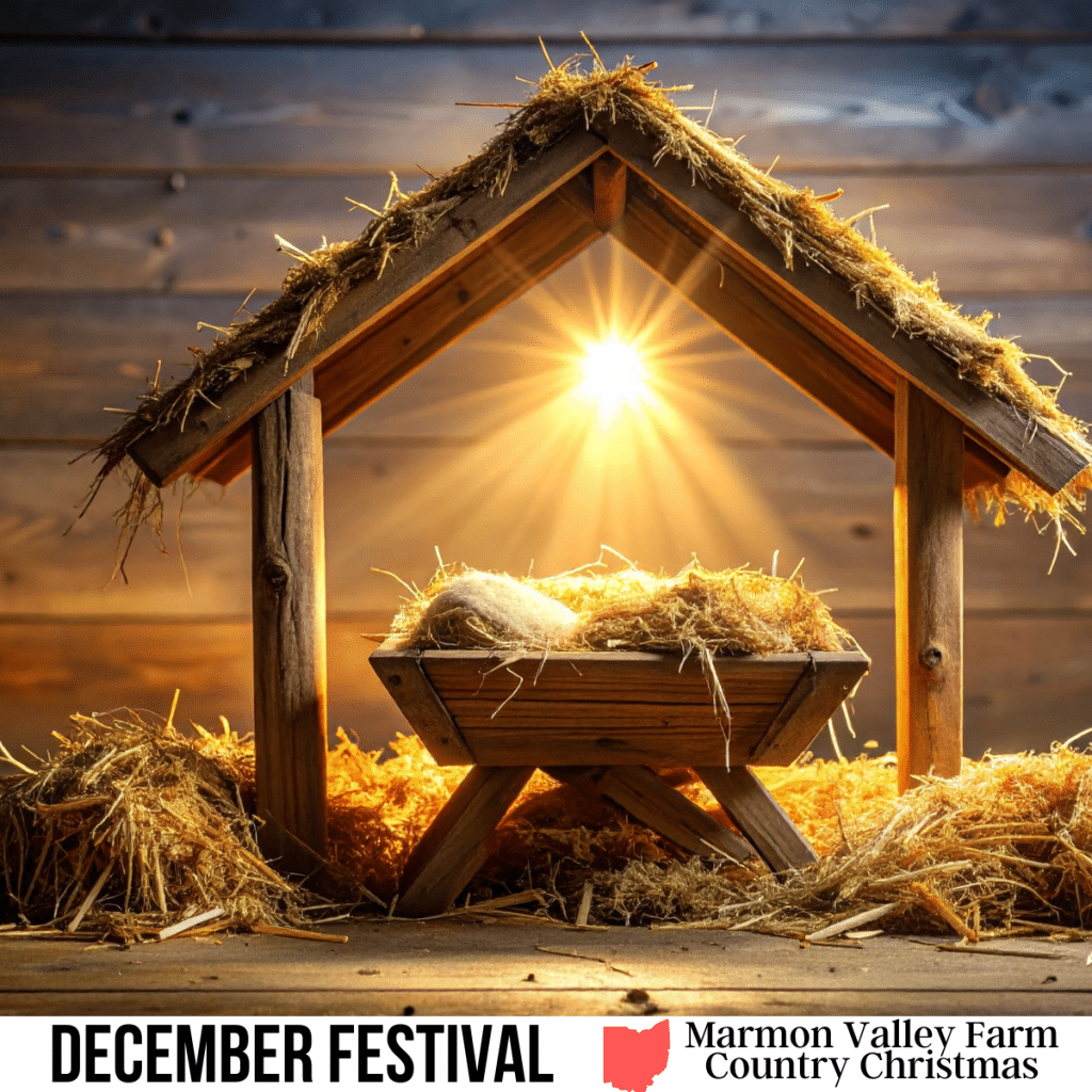 square image with a photo of the crib in the manger