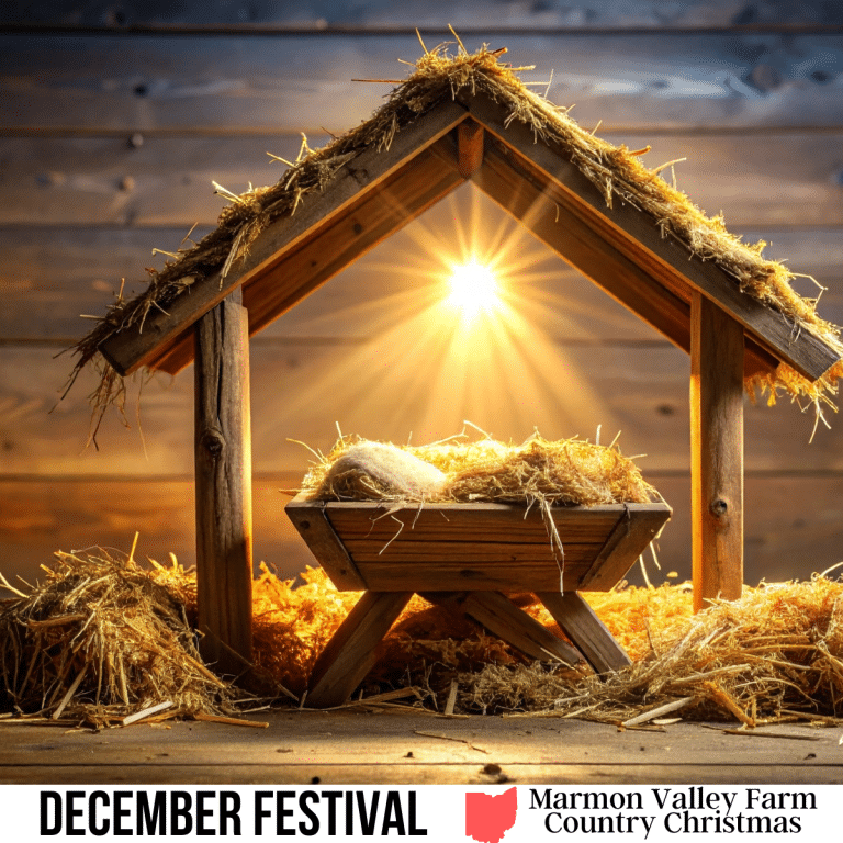 square image with a photo of the crib in the manger