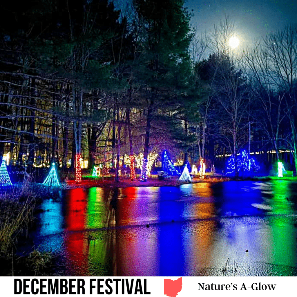 square image with a photo of a light display with a reflection in the water